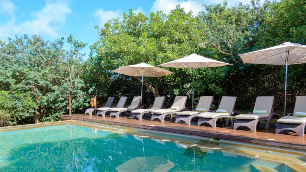 south africa kwazulu natal luxury safari lodge in 2026 03 17 06 40 50 utc